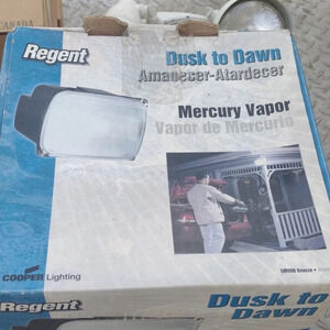 Regent outdoor dusk to Dawn security Light